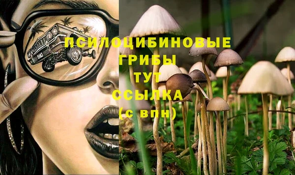 марки nbome Елабуга