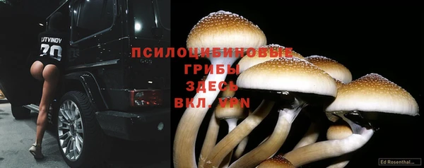 бутират Ельня