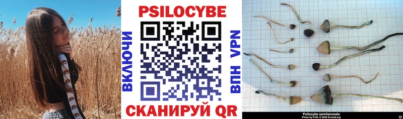 Купить закладки  Белая Холуница  Псилоцибиновые грибы мицелий 